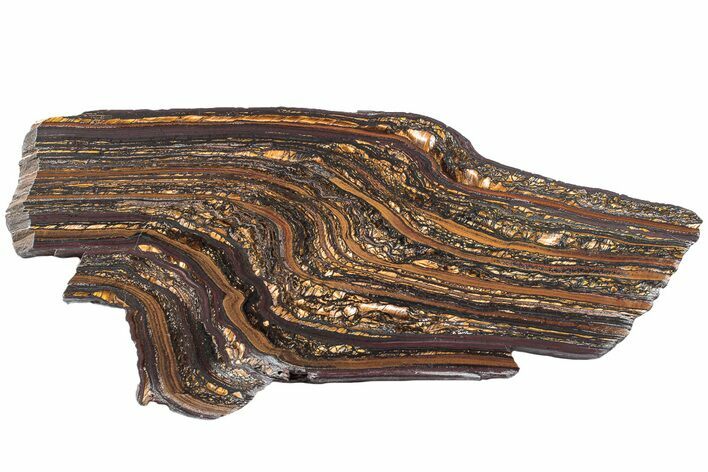 Polished Tiger Iron Stromatolite Slab - Billion Years #222088
